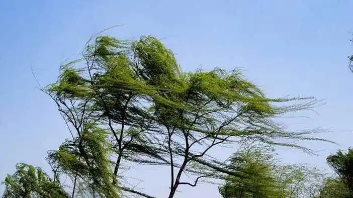 梦见刮大风特别大的风