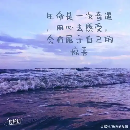 唯美励志图文分享