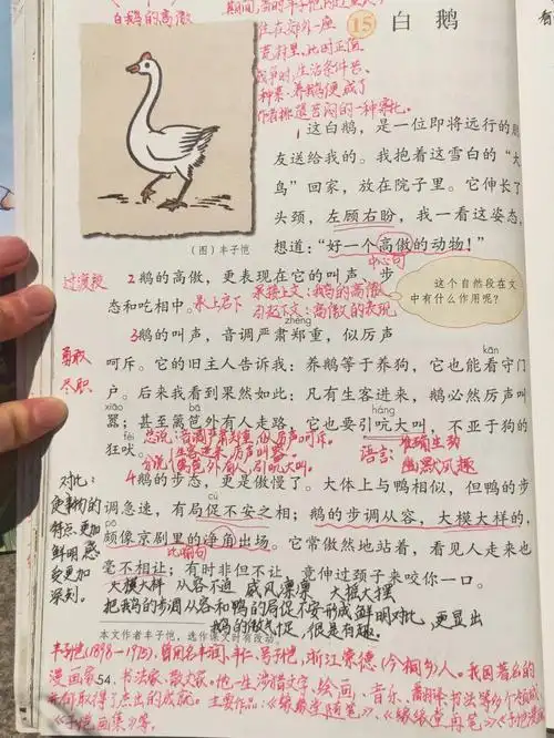 部编版四年级下册15白鹅