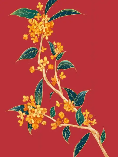 国潮桂花的画法附线稿步骤