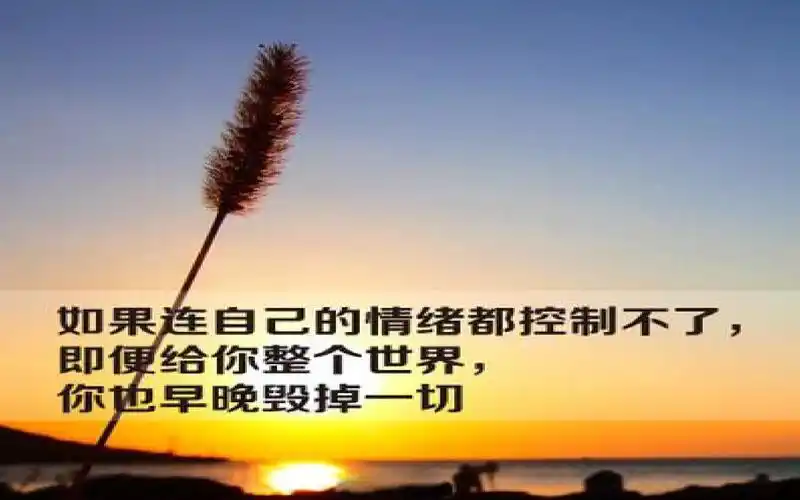 2 情绪的管理 课件(共21张ppt)