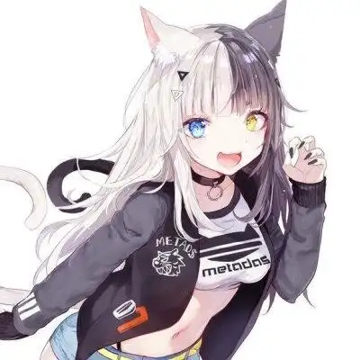 二次元猫女皮质