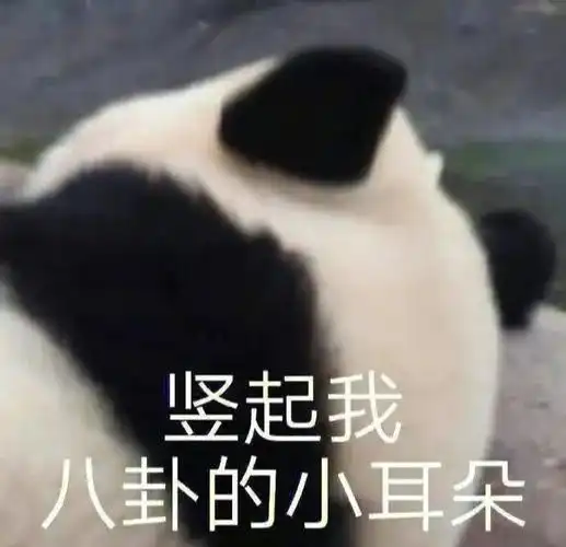 互联网冲浪必备竖起我八卦的小耳朵沙雕表情包合集