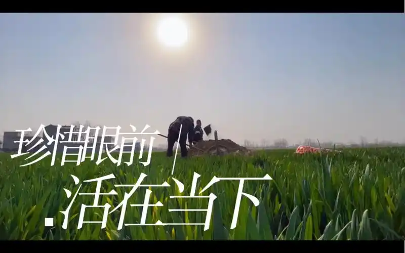 快清明了和老爸给爷爷奶奶上坟 珍惜眼前 活在当下