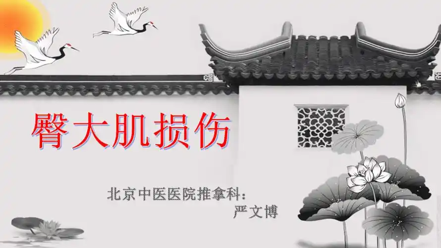 推荐臀大肌损伤