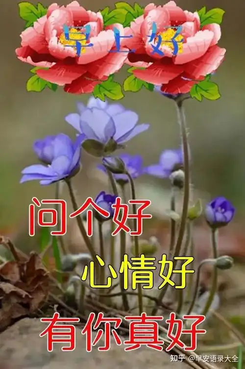 2022最美春日早安问候祝福鲜花图片带字温馨 - 知乎