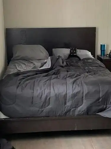 "我家的也是,每天晚上9点,它都会提前去床上等我…"