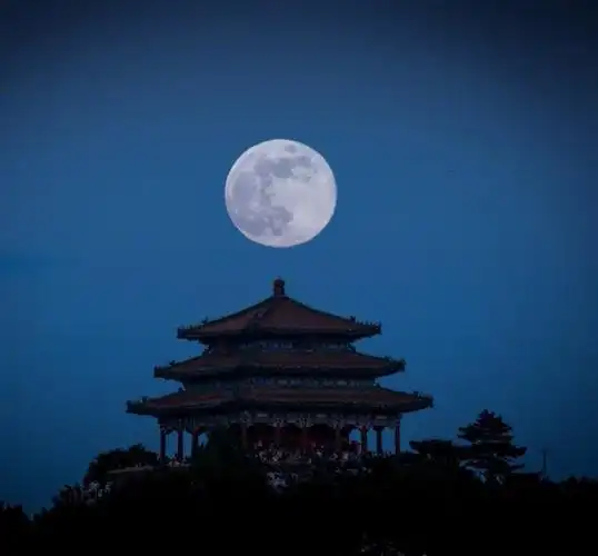 仰头看明月,寄情千里光#诗词古风君