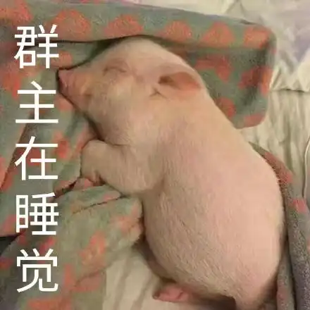 群主在睡觉_群主_睡觉表情