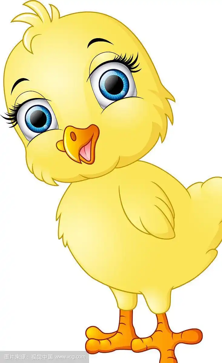 快乐的小鸡卡通