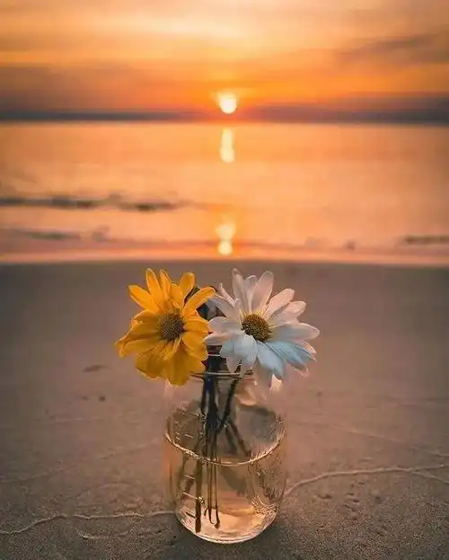 朋友圈发泄情绪的句子(精选42句) - 说说心情- 不二励志语录