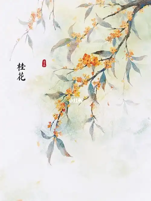 原创水彩壁纸桂花
