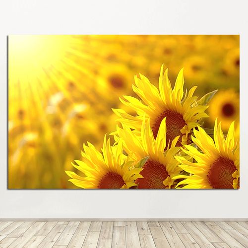 向日葵太阳花阳光自然田园风植物花卉风景画向阳花现代简约装饰画