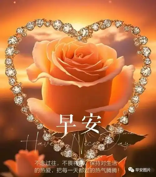 10月9日早上好,最新版早安祝福语表情图片大全问候语