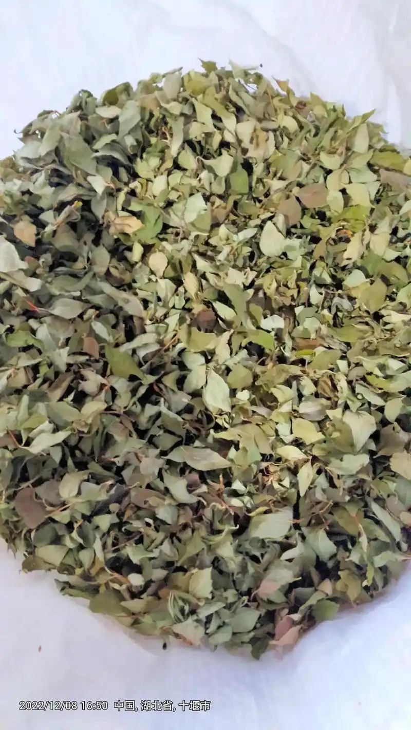 本人有干神仙叶(凉粉叶)两袋,因本人没时间做,现低价出售,有 - 抖音