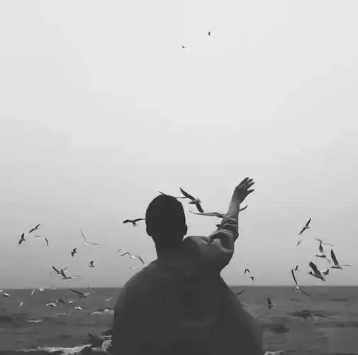 网友评出十大渣男最爱的头像,扎. - 天马的主页