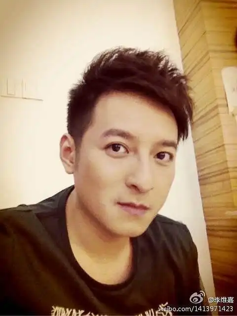 李维嘉_主持人_个人资料_简历_生日_经历_留言 - 酷乐米