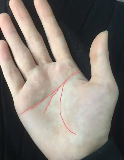 有会看掌纹的吗听说我这种的克夫害怕呢