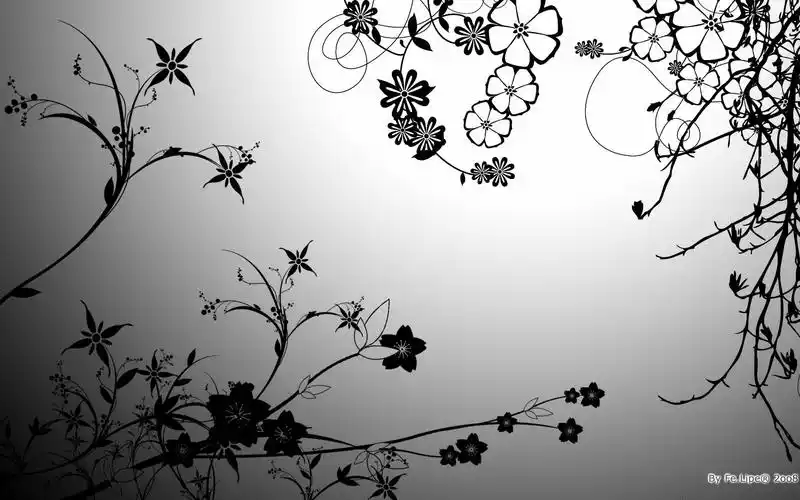 壁纸艺术设计简约花纹