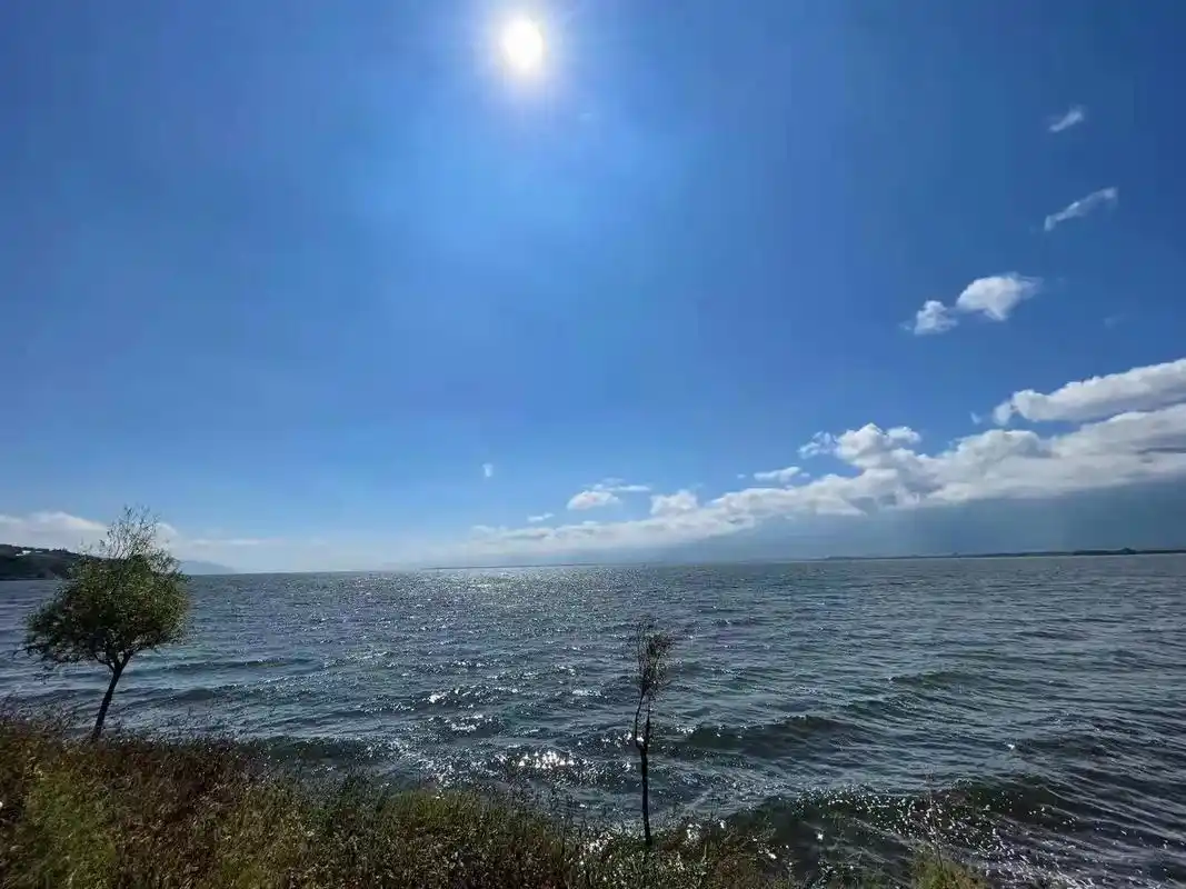 看看以前的照片舒缓一下心情希望城市早点恢复正常