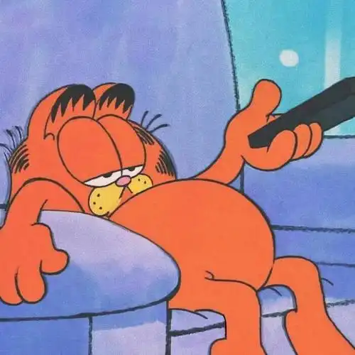 萌萌的加菲猫可爱图片,加菲猫咪图片大全可爱头像(加菲猫 壁纸 表情包