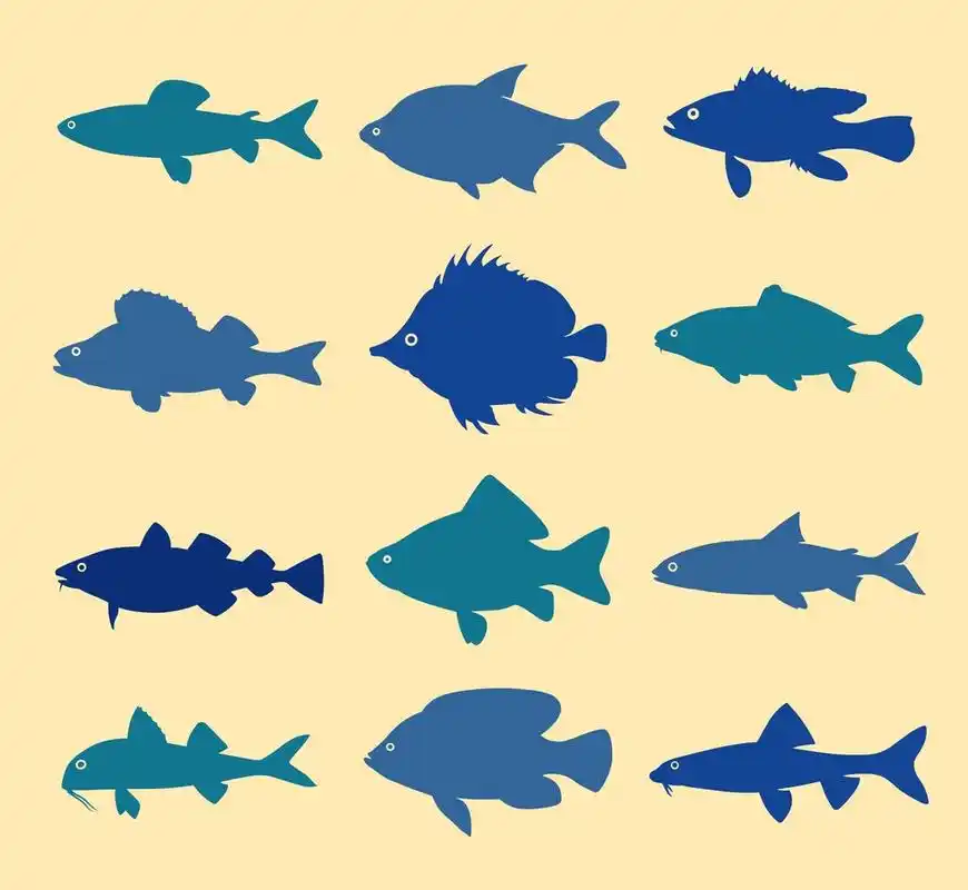 鱼剪影,组的鱼剪影
