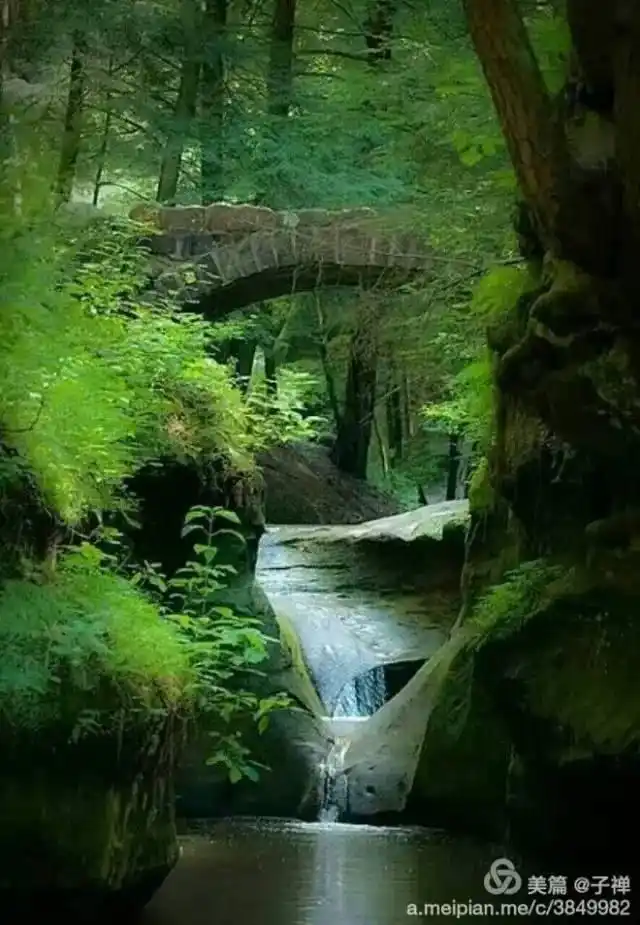 静谧尘世,脱俗超然