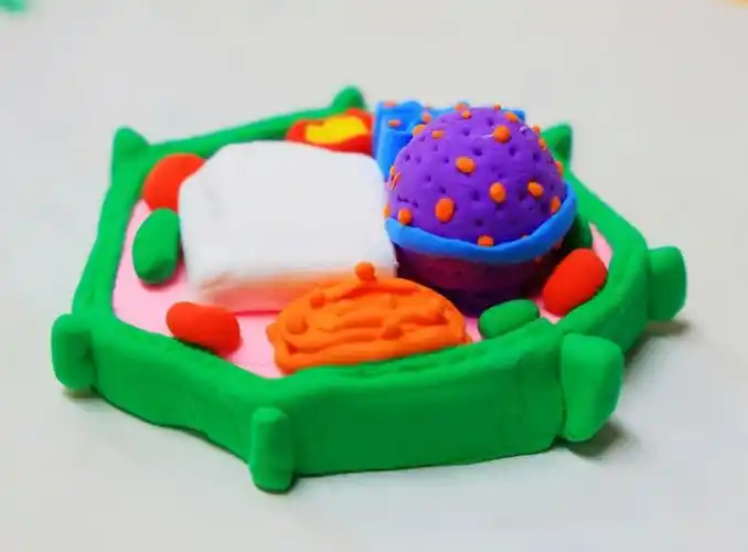 高中生在课堂上玩橡皮泥?_细胞_模型_结构