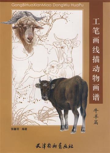 工笔描动物画谱(牛羊篇) 张馨羽绘【正版好书,下单速发】