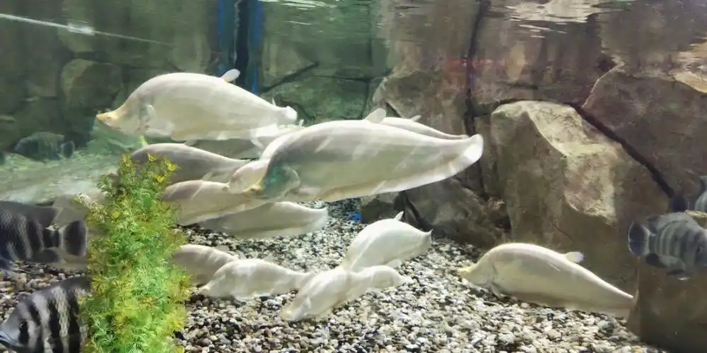 石林冰雪海洋世界