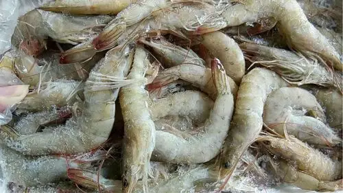 立磐商贸黑龙江省图文介绍 - 美篇