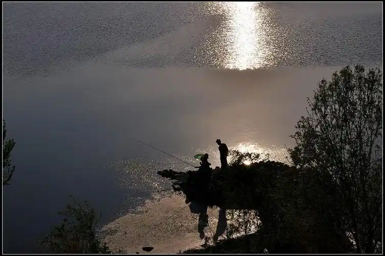 涛声68 上传了这个图片