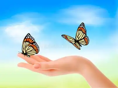 一只手拿着玫瑰一只手拿着蝴蝶在蓝天上.照片