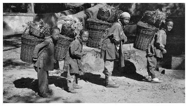 老照片:清末民初穷人家的孩子,穷的没衣服穿,5岁开始捡柴