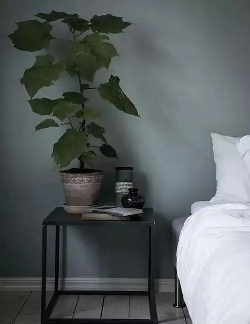 蔻帝推荐:灰绿,最适合大面积上墙的颜色