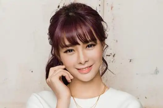 《我是歌手3》2015巅峰会三大看点提前解析(组图)_简历模板_个人简历