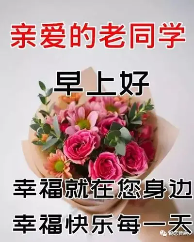 老同学的问候