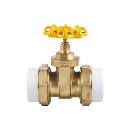 ppr双活接黄铜闸阀自来水总阀 水管配件阀门手动螺纹连接闸板阀