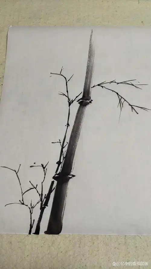 中侧锋运笔由下至上的画法突出竹子的质感表现,毛笔要半干,竹节起笔要