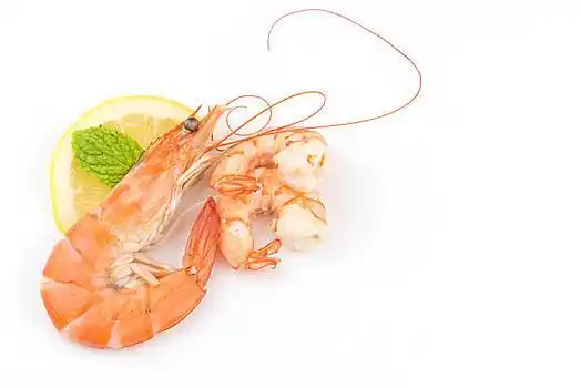 对虾,隔绝,白色背景,海鲜