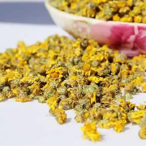 野菊花的功效与作用