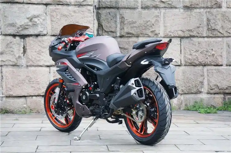 地平线摩托车r2大型跑车重型机车公路趴赛街车250cc双缸水冷电喷燃油