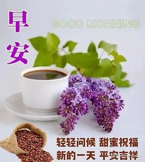 群发亲友的早上好问候祝福语暖心,漂亮的早安图片带祝福语 - 知乎