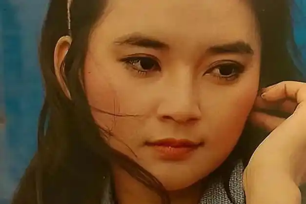 老公曾入狱,太戏剧了|孙俪|胡慧中|林青霞|冯程程|林正英_网易订阅