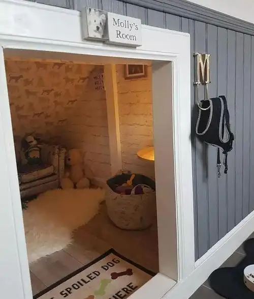 主人为狗狗搭的豪华卧室,看的我都想住进去!