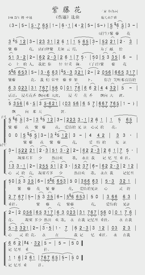 紫藤花_简谱_歌谱_曲谱_吉他谱_五线谱