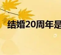 结婚20周年是什么婚 瓷婚怎么纪念有意义