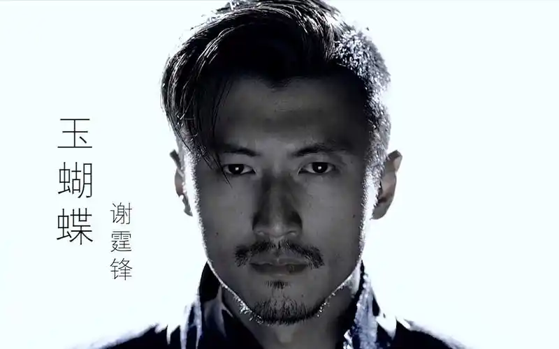 谢霆锋的经典作品《玉蝴蝶》,虽说是一首情歌,但是歌词却很难懂