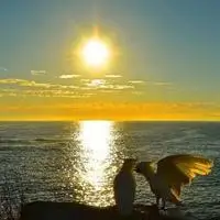 日出的头像 关于日出带财运的头像_微信头像图片大全