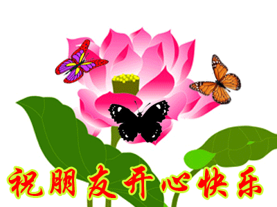 400_300gif 动态图 动图